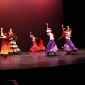 XVIII Festival de danza Coppelia