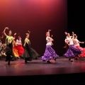 XVIII Festival de danza Coppelia