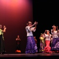 XVIII Festival de danza Coppelia