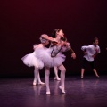 XVIII Festival de danza Coppelia
