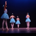 XVIII Festival de danza Coppelia