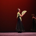 XVIII Festival de danza Coppelia