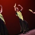 XVIII Festival de danza Coppelia