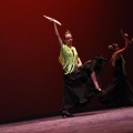 XVIII Festival de danza Coppelia