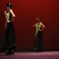XVIII Festival de danza Coppelia