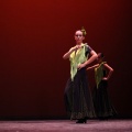 XVIII Festival de danza Coppelia