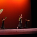 XVIII Festival de danza Coppelia