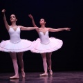 XVIII Festival de danza Coppelia
