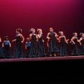 XVIII Festival de danza Coppelia
