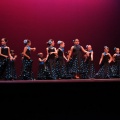 XVIII Festival de danza Coppelia