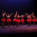 XVIII Festival de danza Coppelia