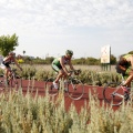 Skoda Triathlon Series