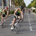 Skoda Triathlon Series