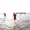 Skoda Triathlon Series