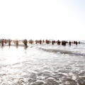 Skoda Triathlon Series