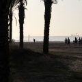 Skoda Triathlon Series