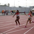 Campeonato de España Junior de atletismo