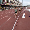 Campeonato de España Junior de atletismo