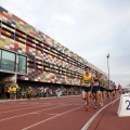 Campeonato de España Junior de atletismo