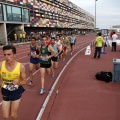 Campeonato de España Junior de atletismo