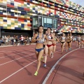 Campeonato de España Junior de atletismo