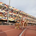 Campeonato de España Junior de atletismo