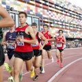 Campeonato de España Junior de atletismo