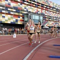Campeonato de España Junior de atletismo