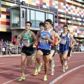 Campeonato de España Junior de atletismo