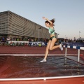 Campeonato de España Junior de atletismo