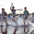Campeonato de España Junior de atletismo