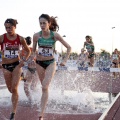 Campeonato de España Junior de atletismo
