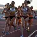 Campeonato de España Junior de atletismo
