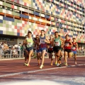Campeonato de España Junior de atletismo
