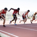 Campeonato de España Junior de atletismo
