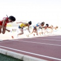 Campeonato de España Junior de atletismo