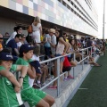 Campeonato de España Junior de atletismo
