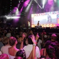 FIB 2014