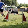 Prueba de agility