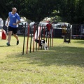 Prueba de agility