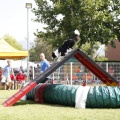 Prueba de agility