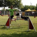 Prueba de agility