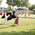 Prueba de agility