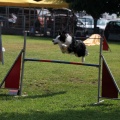 Prueba de agility