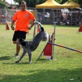 Prueba de agility