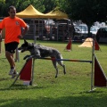 Prueba de agility