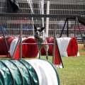 Prueba de agility