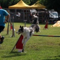 Prueba de agility