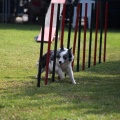 Prueba de agility