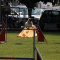 Prueba de agility